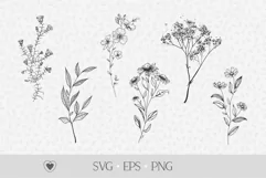 Wildflower svg, flower svg, branch svg, floral svg Product Image 1