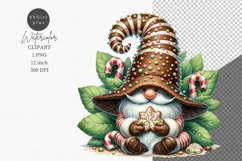 Christmas Gnome clipart, Winter clipart, Gnome clipart Product Image 1