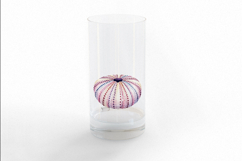 Underwater Sea Urchin Shell Pastel Colors Dot PNG Summer Product Image 3