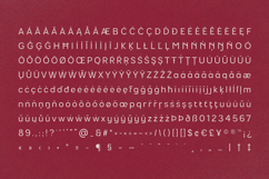 LUMA Prime Modern Typeface Product Image 17