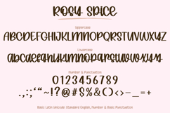 Rosy Spice - Handwritten Script Font Product Image 17