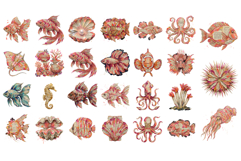 Books Pages Coastal Life Clipart Product Image 5
