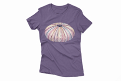 Underwater Sea Urchin Shell Pastel Colors Dot PNG Summer Product Image 4