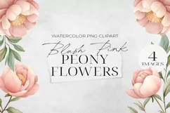 Blush Pink Peony Flowers Clipart, PNG. Product Image 1