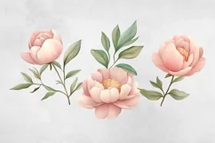 Blush Pink Peony Flowers Clipart, PNG. Product Image 3