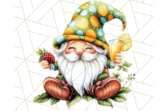 Summer Garden Gnomes Clipart PNG, Summer Country Gnomes Png Product Image 5