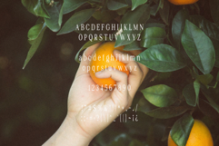Modern &amp; Elegant Font Bundle Product Image 18