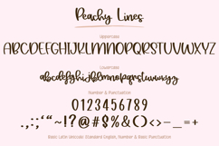 Peachy Lines - Bouncy Script Font Product Image 18