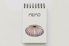 Underwater Sea Urchin Shell Pastel Colors Dot PNG Summer Product Image 5