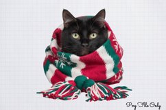 Christmas Cats Clipart PNG Product Image 1