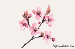 Watercolor Spring Garden Clipart PNG Product Image 1