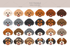 Toy poodle clipart Product Image 5