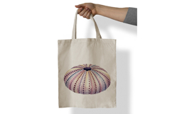 Underwater Sea Urchin Shell Pastel Colors Dot PNG Summer Product Image 7