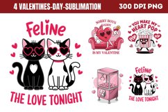 Valentines Day Sublimation PNG Product Image 1