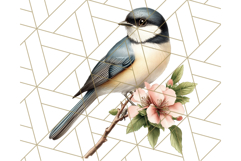 Vintage Song Bird Clipart PNG, Botanical Bird Art Clip Art Product Image 5