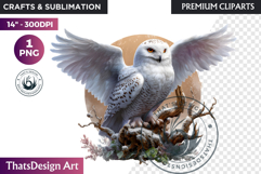 Owl Watercolor Winter Animal Clipart Arctic Wildlife PNG Product Image 1