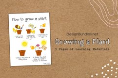 Growing a Plant and Plant Parts Educational Materials Product Image 3