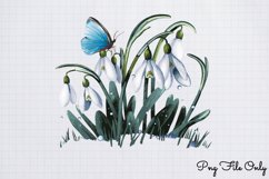 Snowdrops Clipart PNG PNG Product Image 1