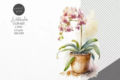 Flowers clipart, Orchid clipart, Nature clipart Product Image 1