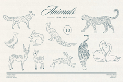 Vintage Chinoiserie Frame Collection Product Image 17