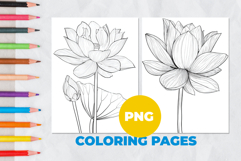 Lotus flower Coloring Pages | Coloring book Product Image 1