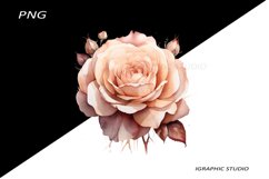 Rose gold Flowers PNG, Watercolor Rose Bouquet Product Image 1