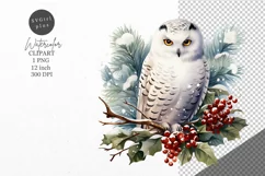 Christmas clipart, Owl clipart, Winter clipart Product Image 1