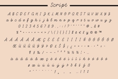 Fox Rustic: 7 Font Styles Product Image 17