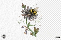 1920 Botanical Summer Wildflowers Clipart Product Image 1