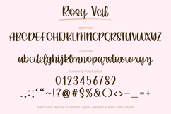 Rosy Veil - Handwritten Script Font Product Image 17