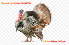 Watercolor Thanksgiving Turkey Clipart PNG Product Image 1