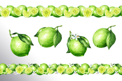 Lime citrus. Watercolor collection Product Image 18