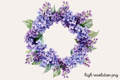 Lilac Flower Watercolor Cliparts PNG Product Image 1