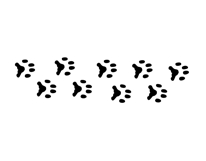 Cat svg, Funny Cats Vector Cut Files Product Image 23