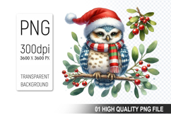 Christmas Owl Clipart PNG, Festive Owl illustration Product Image 1