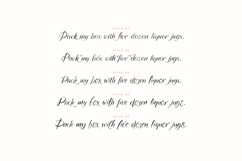 Softspoken Serif, Sans, Script Fonts Product Image 17