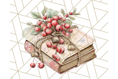Christmas Book Clipart, Festive Reading PNG Illustrations Product Image 5