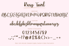 Rosy Twirl - Handwritten Script Font Product Image 17