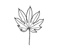 Palm Leaves svg, Botanical png Product Image 22