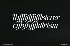 The Ethicly Product Image 14