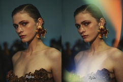 60 Vintage Radiance Overlays Product Image 18