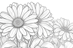 Aster Flower Coloring Page Background Wallpaper Product Image 1