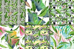 Green Tea Leaves Watercolor png Product Image 4