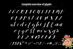 Web Font Cataleya Typeface Full Product Image 5
