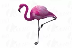Watercolor Flamingos Clipart. Tropical clipart, 5 flamingo Product Image 6
