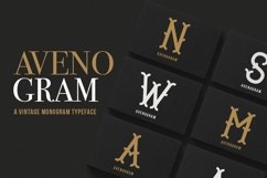 Web Font Avenogram Product Image 1