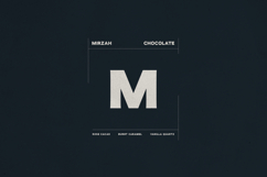 Font Bundle Vol.05 8 Premium Fonts Product Image 18