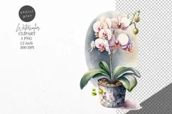 Flowers clipart, Orchid clipart, Nature clipart Product Image 1