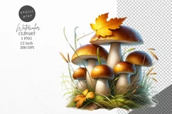Autumn clipart, Mushrooms clipart, Woodland Product Image 1
