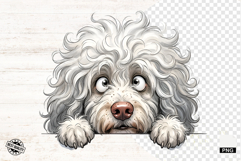 Whimsical Peeking Dog Png - Dog Clipart Product Image 1